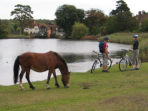 New Forest bike hire, England