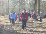 New Forest guided walking tour, England