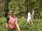 Fair trade tour to Southern India