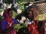 Small group vacations to Madagascar