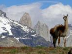 Trekking vacation in Patagonia