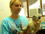 Animal project in South Africa