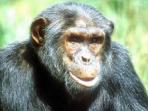East Africa tours
