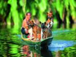 Borneo vacation, Sarawak highlights