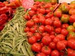 Guided cycling tour in Catalonia, Spain, for food lovers