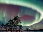 Winter adventure in Finland