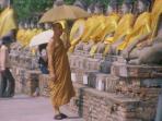 Chiang Mai to Bangkok cycling vacation