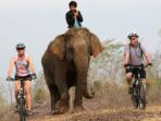 Laos mountain biking vacation