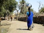 North India tailormade vacation