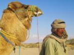 Tunisia vacations, Roman Sahara