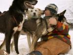 Wilderness dog sledding trip in Norway