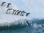 Antarctica expedition cruise