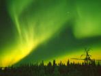 Northern Lights winter holiday, Lapland