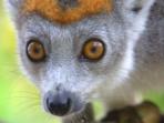 Madagascar tailor made vacation