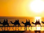 Kimberley tour in Western Australia