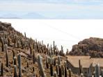 Bolivia tour