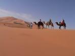 Budget camel safari in Morocco