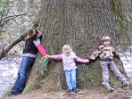 Family vacations in Scotland, nature & wildlife