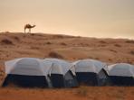 Small group vacations to Oman
