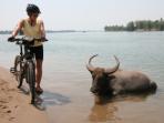 Southern Mekong cycling vacation