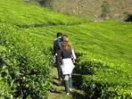 Walking and cycling vacation in Kerala, India
