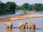 Kenya vacation, safari and cultural tour