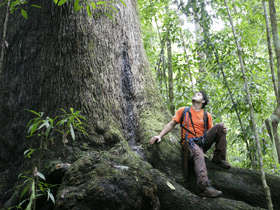 Osa Peninsula rainforest wildlife lodge in Costa Rica