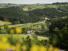 Self catering farmstay in Tuscany
