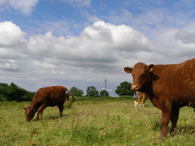 Devon self catering cottages in England