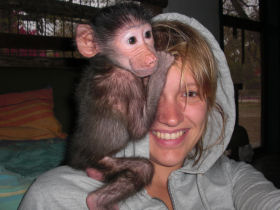Volunteer with children & animals in South Africa