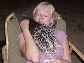 Volunteer with children & animals in South Africa