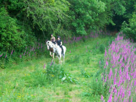Ireland horse riding vacation