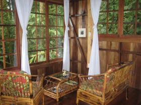 Mono Congo, Honeymoon Jungle Cabina