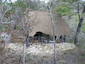 Saadani Safari accommodation