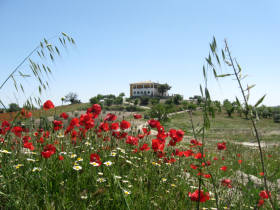 Granada guest house accommodation, Spain