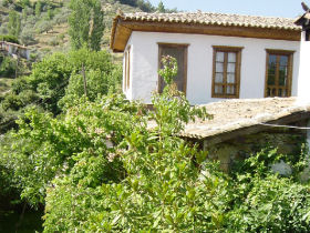 Grapevine House