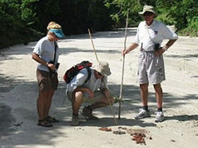 Tanzania bush camp & walking safari