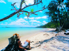 Fraser Island tours