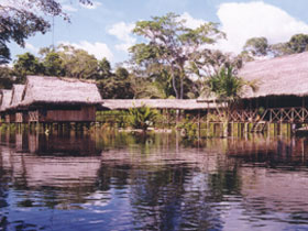 Jungle lodge in the Amazon, Peru
