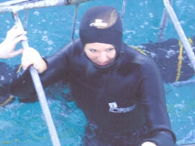 Shark conservation in South Africa