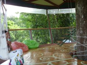 Costa Rica rainforest tree houses
