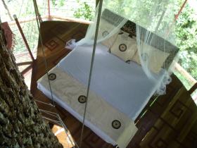 Costa Rica rainforest tree houses