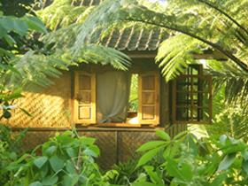 Jungle Family Bungalow