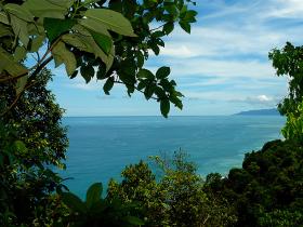 View from one of our trails