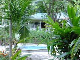 Belize jungle B&B