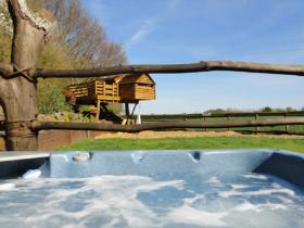 Hot tub and tree house