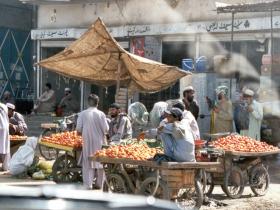 Explore the local markets