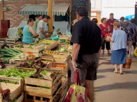 freshly picked village vegetables