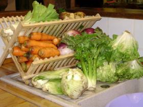freshly delivered fresh vegetables