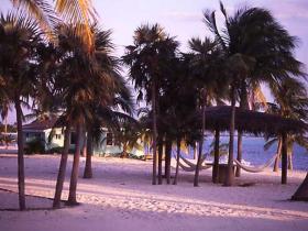 Beach View